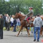 zdjęcie nr 15