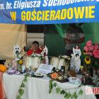 zdjęcie nr 220