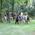 zdjęcie nr 109