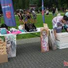 zdjęcie nr 106