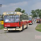 zdjęcie nr 297