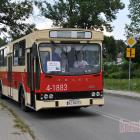 zdjęcie nr 130
