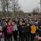 zdjęcie nr 9