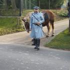 zdjęcie nr 19
