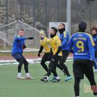 Fotka nr 5 z 78