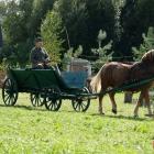zdjęcie nr 94