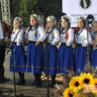zdjęcie nr 251