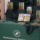 zdjęcie nr 9