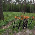 Fotka nr 4 z 37