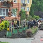 zdjęcie nr 52