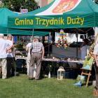 zdjęcie nr 43