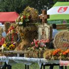 zdjęcie nr 15