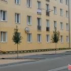 zdjęcie nr 11