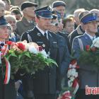 zdjęcie nr 98