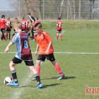 zdjęcie nr 17
