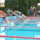 zdjęcie nr 105