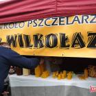 zdjęcie nr 84