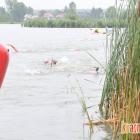 zdjęcie nr 387