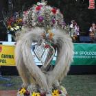 zdjęcie nr 90