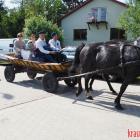 zdjęcie nr 44