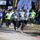 zdjęcie nr 17