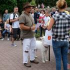 zdjęcie nr 164