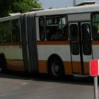 zdjęcie nr 131
