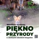 Fotka nr 0 z 1