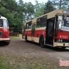 zdjęcie nr 41