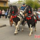 zdjęcie nr 110