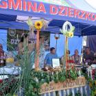 zdjęcie nr 162