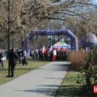 zdjęcie nr 147
