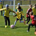 zdjęcie nr 73