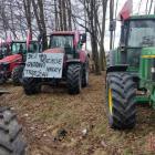 Fotka nr 3 z 17
