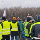 zdjęcie nr 14