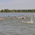 zdjęcie nr 146