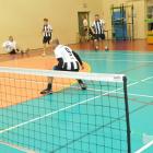zdjęcie nr 303