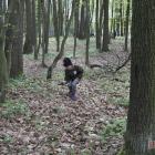 zdjęcie nr 36