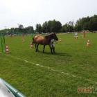 zdjęcie nr 32