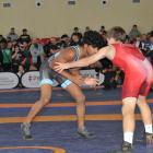 zdjęcie nr 11