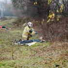 Fotka nr 2 z 17