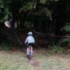 zdjęcie nr 31