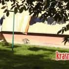 zdjęcie nr 7