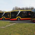 zdjęcie nr 8