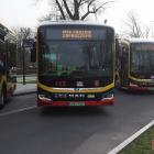 zdjęcie nr 30