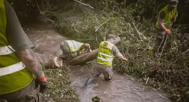 Żołnierze z WOT usuwali skutki nawałnicy