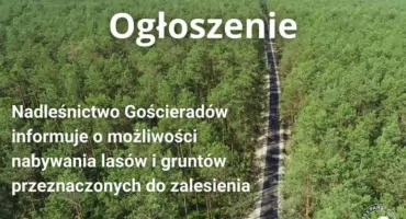 Lasy Państwowe Nadleśnictwo Gościeradów INFORMUJE że jest zainteresowane zakupem lasów lub gruntów przeznaczonych do zalesienia